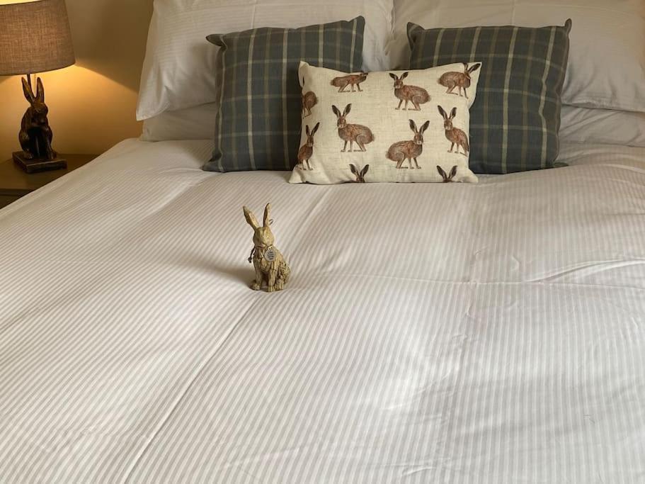 The Burrow, Langholm, Dumfries And Galloway Buitenkant foto